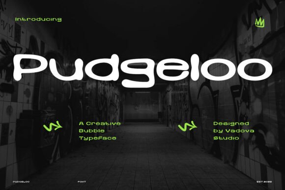 Why Pudgeloo is the Modern Typeface for Creative Brands